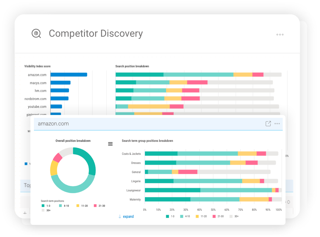 Competitor discovery dashboard identifying the strongest competing domains across all search result types.